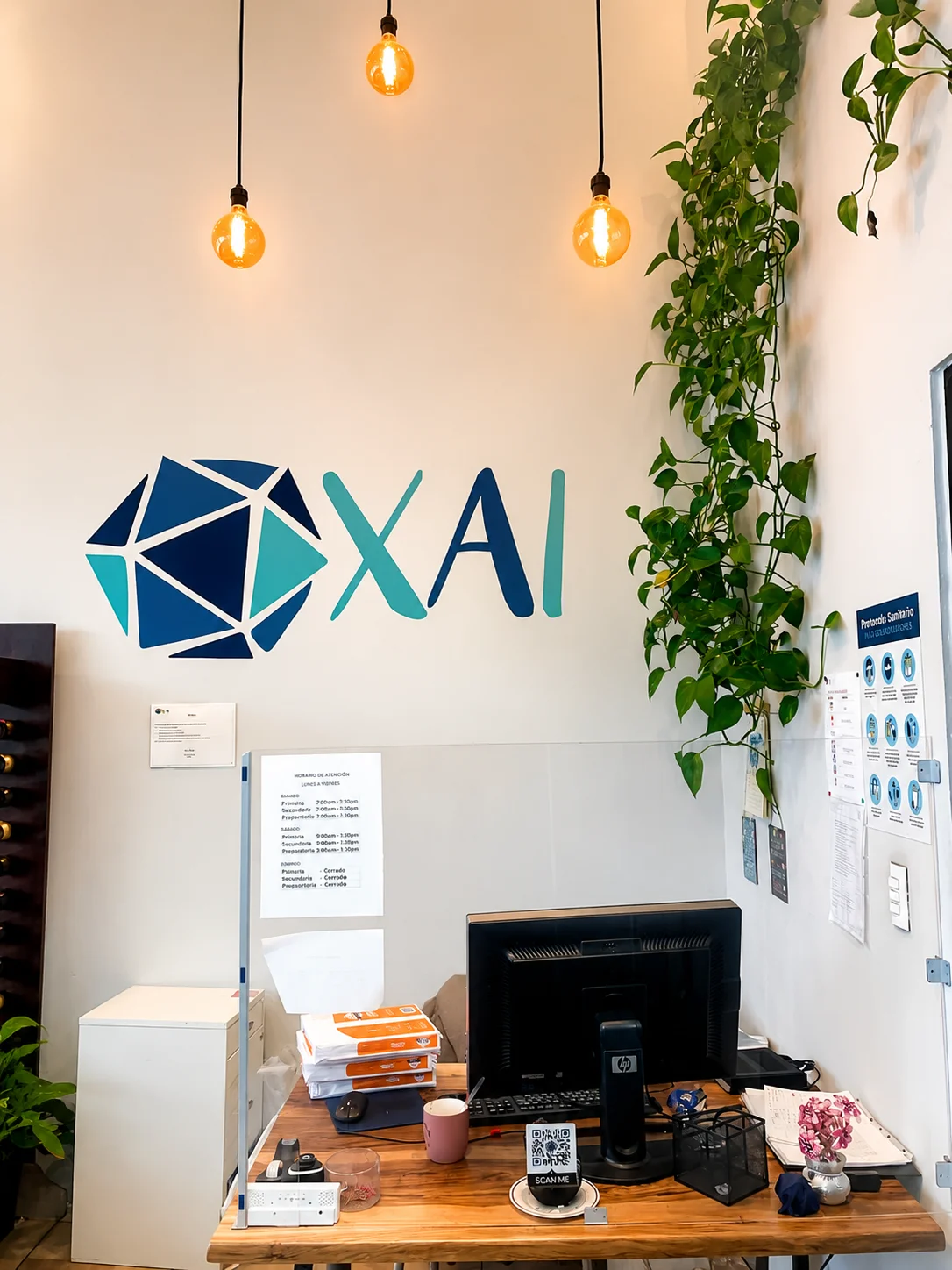 Recepción XAI